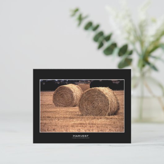 収穫 |はがき ポストカード (スタンド正面)