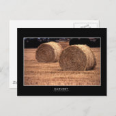 収穫 |はがき ポストカード (正面/裏面)