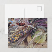 収穫 ポストカード (正面/裏面)