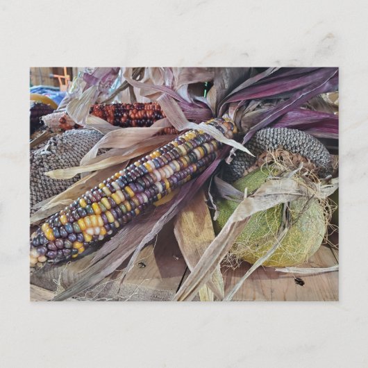 収穫 ポストカード (正面)