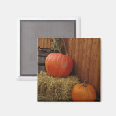 収穫 マグネット (正面/裏面)