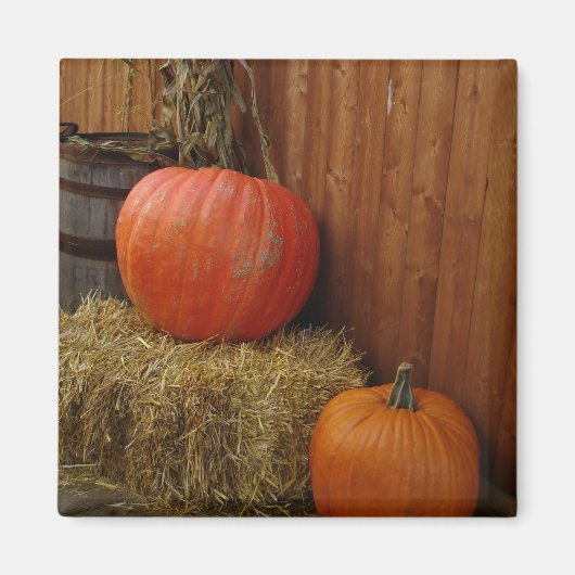 収穫 マグネット (正面)