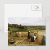 収穫、1874年 ポストカード (正面/裏面)