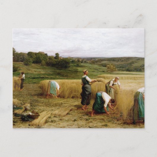 収穫、1874年 ポストカード (正面)