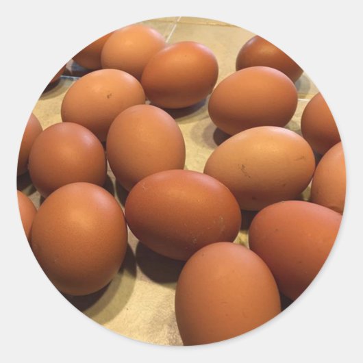 収集したばかりの茶色の卵 ラウンドシール (正面)