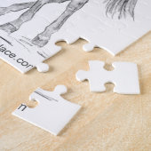 収集ドレスセージ馬FEI ジグソーパズル (側面)