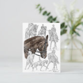 収集ドレスセージ馬FEI ポストカード (スタンド正面)