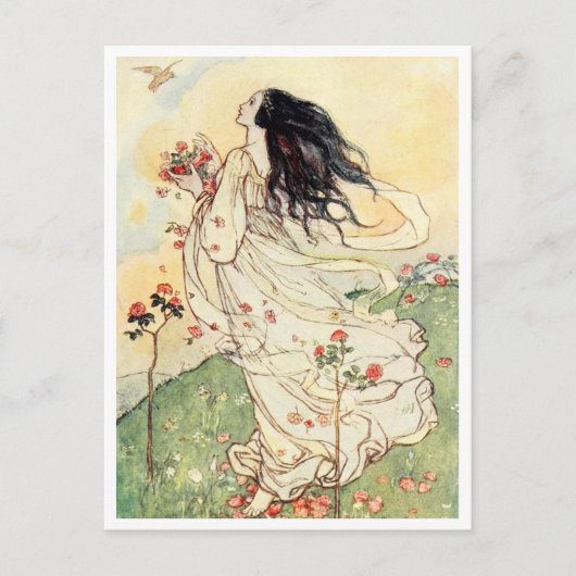 収集バラ花びらヴィンテージイラストレーション ポストカード (正面)