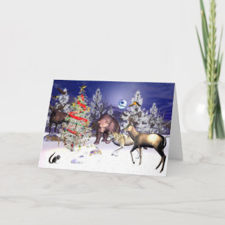 収集 シーズンカード