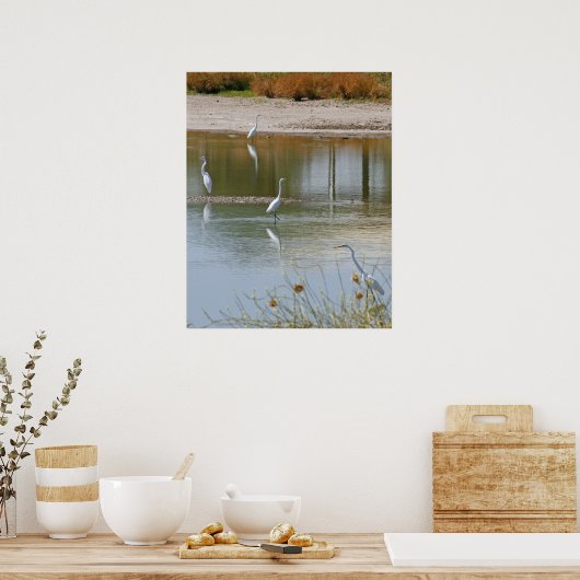 収集 ポスター (キッチン)