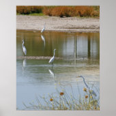 収集 ポスター (正面)