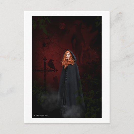 収集 ポストカード (正面)