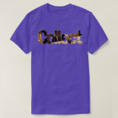 収集 Tシャツ (デザイン正面)