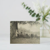 叔父さんBartおよびヒツジ ポストカード (スタンド正面)