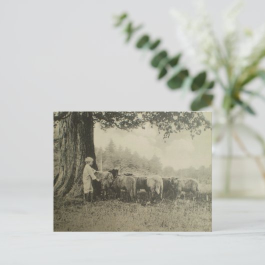 叔父さんBartおよびヒツジ ポストカード (スタンド正面)