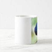 取り乱したStarling コーヒーマグカップ (中央)