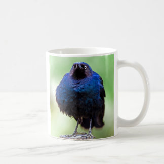 取り乱したStarling コーヒーマグカップ