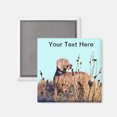 取り出し時のワイマラナー マグネット (正面/裏面)