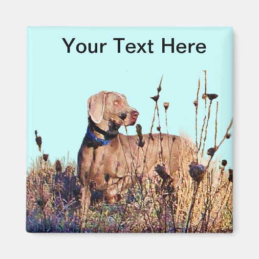 取り出し時のワイマラナー マグネット (正面)