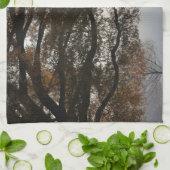 取り出し キッチンタオル (折り畳み)