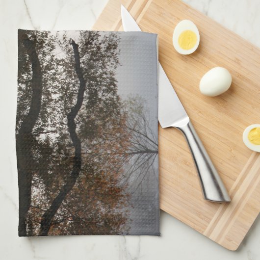 取り出し キッチンタオル (四つ折り)