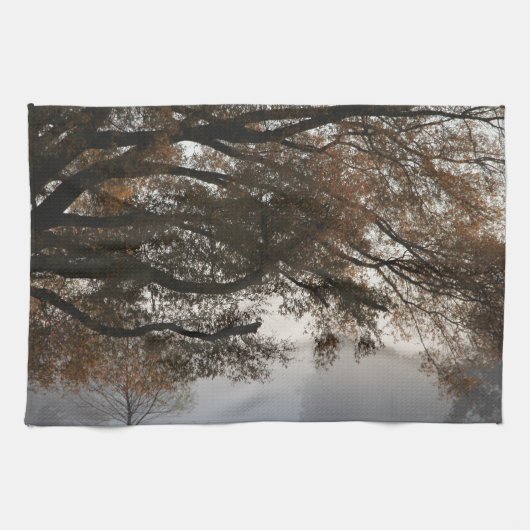 取り出し キッチンタオル (横)