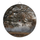 取り出し ダーツボード (正面)