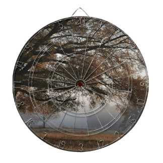 取り出し ダーツボード