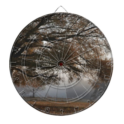 取り出し ダーツボード (正面)