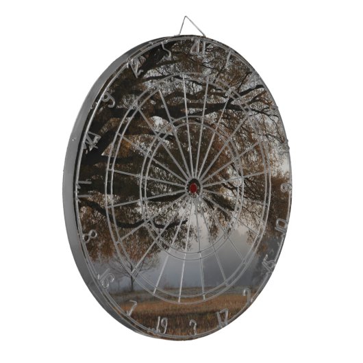 取り出し ダーツボード (正面左)