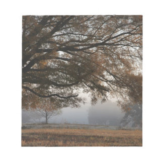 取り出し ノートパッド