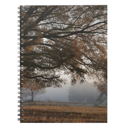 取り出し ノートブック (正面)