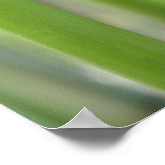 取り出し ポスター (角)