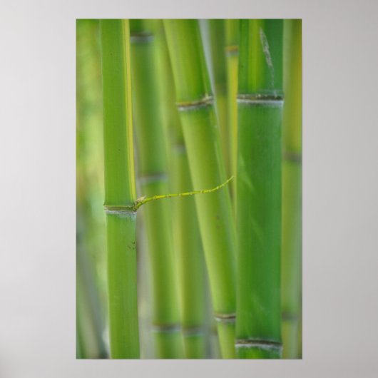 取り出し ポスター (正面)