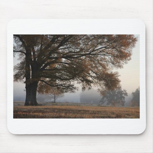 取り出し マウスパッド (正面)