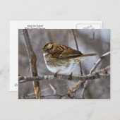 取り外しポストカードのコピー準備完了 ポストカード (正面/裏面)