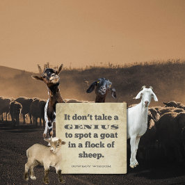 取り得ない |カウボーイウィズダム |南部の引用文 ストーンコースター