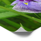 取り除かれた虹彩 ポスター (角)