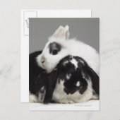 取り除耳付つきに傾く小びと耳付つきのウサギ ポストカード (正面/裏面)