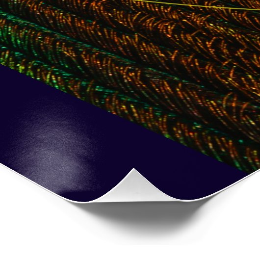 取る物が無い ポスター (コーナー)