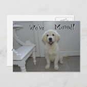取得する子犬引っ越しましたの新しいアドレス 案内ポストカード (正面/裏面)