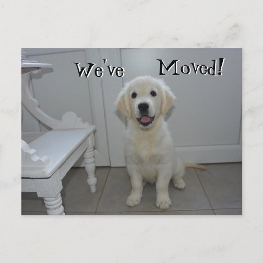 取得する子犬引っ越しましたの新しいアドレス 案内ポストカード (正面)