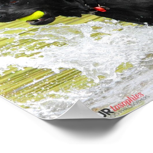 取水 ポスター (角)