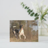 取遊り入れ ポストカード (スタンド正面)