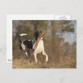 取遊り入れ ポストカード (正面/裏面)