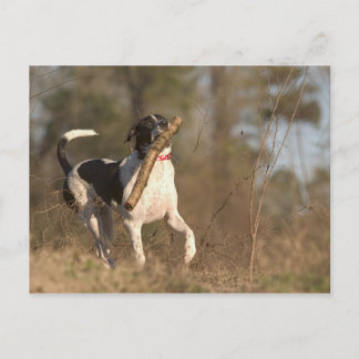 取遊り入れ ポストカード