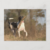 取遊り入れ ポストカード (正面)