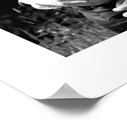 受け入れる ポスター (角)