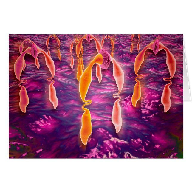 受容体に結合するリガンドの顕微鏡的見解 (正面横)