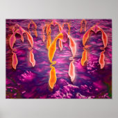 受容体に結合するリガンドの顕微鏡的見解 ポスター (正面)